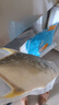 翔泰海南深海金鯧魚(yú)700g 2條 燒烤 火鍋 生鮮魚(yú)類(lèi) BAP認證 海鮮水產(chǎn) 曬單實(shí)拍圖