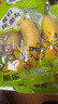 都樂(lè )Dole 進(jìn)口超甜香蕉 凈重4斤 香甜軟糯 單根包裝 包郵 水果 曬單實(shí)拍圖