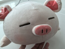名創(chuàng  )優(yōu)品（MINISO）小豬柴犬狗抱枕靠枕床頭靠墊趴睡枕沙發(fā)卡通可愛(ài)軟沙發(fā)布藝擺件 BOBO豬抱枕 曬單實(shí)拍圖