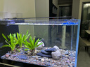 森森（SUNSUN）原生態(tài)溪流缸魚缸造景家用原生缸客廳超白玻璃底濾魚缸包安裝 靜謐黑-專業(yè)款 升級(jí)底濾（雙重滴濾盒） 0.8米長47.6cm寬40cm缸高+85cm柜高 曬單實(shí)拍圖