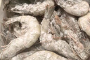 海之幫新鮮青島大蝦超大蝦凍蝦白蝦鮮活冷凍對蝦大號青蝦海鮮批發(fā) 16-18厘米活蝦速凍 3斤(凈重) 曬單實(shí)拍圖