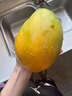 京興果四川攀枝花凱特芒果新鮮應季水果芒果禮盒整箱特大青忙果孕婦水果 5斤精選裝 曬單實(shí)拍圖