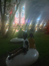 博世（BOSCH）機(jī)油濾芯濾清器0141大眾邁騰帕薩特速騰途觀CC奧迪A4LA5A3A6LQ3Q5 曬單實(shí)拍圖
