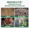 德沃多肥料羊糞有機(jī)肥5KG通用植物盆栽花肥料花卉綠植羊糞蛋發(fā)酵羊糞肥 曬單實(shí)拍圖