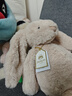 Jellycat致臻害羞羅莎維洛邦尼兔動(dòng)物毛絨玩偶安撫生日七夕情人節(jié)禮物 害羞維洛邦尼兔 H31 X W12 CM 曬單實(shí)拍圖