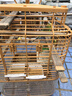 精品虎皮牡丹玄鳳中小型鸚鵡鳥(niǎo)食鳥(niǎo)糧五色黍子鸚鵡鳥(niǎo)糧混合營(yíng)養糧 5斤2500克 精品五色黍子無(wú)農藥不打蠟 曬單實(shí)拍圖
