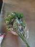 雙盟仿真綠蘿葉盆栽假花人造綠植室內假植物裝飾塑料花卉桌面白色螺紋 曬單實(shí)拍圖