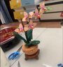 樂(lè )高（LEGO）積木拼裝10343 典雅蘭男孩女孩玩具生日禮物 曬單實(shí)拍圖