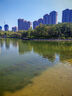 京東京造 雙面鋁箔防潮墊 戶(hù)外露營(yíng)公園帳篷野餐墊防水墊子地墊200*200cm 曬單實(shí)拍圖