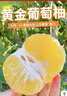 趣嘗鮮福建琯溪黃金葡萄柚 單果300g+ 凈重8斤裝 1號會(huì )員店 源頭直發(fā) 曬單實(shí)拍圖