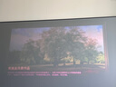 Vidda C2至臻版 海信4K超高清三色激光云臺(tái)投影儀家用100吋家庭影院電視(萊茵0有害藍(lán)光)國家補(bǔ)貼 曬單實(shí)拍圖