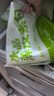 悅味紀(jì) 水晶薄皮素包子400g*2包 共24個(gè) 包子素餡 半成品早餐 速食面點(diǎn) 曬單實(shí)拍圖