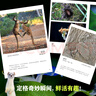 兒童紙上紀錄片 小自然 現貨速發(fā)高清圖片視覺(jué)盛宴 20個(gè)有趣的自然主題 少兒科普繪本百科全書(shū)課外讀物繪本漫畫(huà) 波點(diǎn)童趣 陪讀科普好故事 兒童紙上紀錄片 小自然 曬單實(shí)拍圖