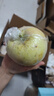 同甘園JD順豐山西嘎啦蘋(píng)果新鮮水果當季整箱現摘早熟紅富士冰糖小蘋(píng)果 帶箱5斤精選好果 60-65mm凈4.5 曬單實(shí)拍圖