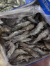 生冷凍南美白對蝦 2kg 2kg(凈重) 曬單實(shí)拍圖