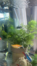 森森（SUNSUN）魚(yú)缸過(guò)濾器凈水循環(huán)三合一內(nèi)置小型水族箱過(guò)濾系統(tǒng)XQP-1500F 23W 曬單實(shí)拍圖