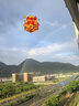 三彩2025秋季新款兩件套衛衣套裝字母印花圓領(lǐng)套頭衫高腰百褶裙M 巖灰 L 曬單實(shí)拍圖