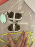 【活蟹】漁家?guī)煾荡箝l蟹全母2-2.3兩10只 去繩足重鮮活現(xiàn)貨螃蟹生鮮水產(chǎn)海鮮禮盒 曬單實拍圖
