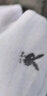 花花公子商務(wù)男襪純棉抗菌襪子男男士襪子休閑透氣中筒襪 曬單實(shí)拍圖