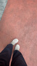 百麗周雨彤同款枕頭吐司1代女勃肯鞋B7Z1DAM5 灰色-單里  36 曬單實(shí)拍圖