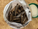 龜真壽 小魚(yú)干135g 天然無(wú)鹽淡水魚(yú)干巴西龜糧 烏龜零食   曬單實(shí)拍圖