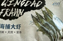 鮮享純【青島蝦】超大蝦新鮮大蝦冷凍鮮活青島大蝦批發(fā)整箱基圍蝦青蝦 15-17厘米鮮蝦速凍 3斤(凈重) 曬單實(shí)拍圖