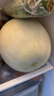 藤上熟玉菇蜜瓜單粒1.2kg 曬單實(shí)拍圖