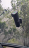360AI行車記錄儀 K380 2K超清 360°旋轉(zhuǎn)機身 鷹眼黑光夜視 曬單實拍圖
