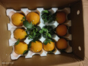 塵中仙四川愛(ài)媛38號果凍橙 時(shí)令水果 當季應季桔子橘子 年貨禮盒 A+整箱9-10斤裝70-85mm凈重8.5斤+ 曬單實(shí)拍圖