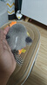 petgravity寵有引力撲騰小肥啾貓咪自嗨解悶玩具仿真小鳥(niǎo)自動(dòng)逗貓棒消耗體力 布谷鳥(niǎo) 曬單實(shí)拍圖