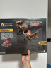 Jurassic World侏羅紀大電影3戰神棘龍生日禮物恐龍哈蒙德大型收藏系列棘龍JCH09 曬單實(shí)拍圖