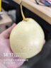 京鮮生 河北特產(chǎn)水晶甜鴨梨 凈重4.5斤 單果200g+ 生鮮水果 源頭直發(fā) 曬單實拍圖