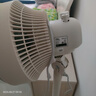 華凌美的【小暴風】白天鵝空氣循環(huán)扇 家用電風扇大風量搖頭輕音臥室臺式落地扇節(jié)能空調扇WH-FGA2001 曬單實拍圖