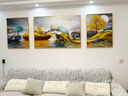 Sixpoetry 客廳裝飾畫(huà)現(xiàn)代簡(jiǎn)約沙發(fā)背景墻壁畫(huà)輕奢三聯(lián)晶瓷畫(huà)大氣高檔掛畫(huà) 福祿雙收（鋁合金外框） 鑲鉆畫(huà)左右60*80+中間120*80亮面 曬單實(shí)拍圖