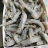 漁游記（YUYOUJI）鮮凍國產(chǎn)青島大蝦25-30只/斤凈蝦3.6斤大蝦對蝦青蝦海蝦生鮮 蝦類 曬單實拍圖