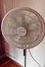 美的（Midea）電風(fēng)扇 家用七葉立式落地扇宿舍臥室輕音節能搖頭桌面小風(fēng)扇大風(fēng)力空氣循環(huán)風(fēng)扇 SAF30AC  曬單實(shí)拍圖