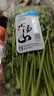 小湯山 香菜 約70g 新鮮蔬菜當(dāng)天采摘北京農(nóng)場順豐到家 曬單實(shí)拍圖