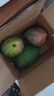京鮮生 攀枝花凱特芒果 凈重9斤 單果400g+ 生鮮水果 源頭直發(fā) 曬單實(shí)拍圖