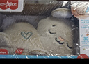 費雪（Fisher-Price）生日禮物兒童嬰兒玩具安撫玩偶哄睡-費雪音樂(lè )安撫小兔子JCC12 曬單實(shí)拍圖