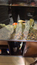 酷魚(yú)小型魚(yú)缸無(wú)動(dòng)力前置過(guò)濾桶水草缸前外置過(guò)濾器水族箱缸外凈化器 【半棉版】A款-240A/16接頭 外置無(wú)動(dòng)力過(guò)濾桶 高效凈水 多層過(guò)濾 曬單實(shí)拍圖