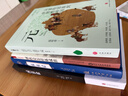 【央視網(wǎng)】劉子超旅行文學(xué)三部曲 共3冊 失落的衛星 沿著(zhù)季風(fēng)的方向 午夜降臨前抵達 中亞?wèn)|歐印度東南亞游記 SD 曬單實(shí)拍圖