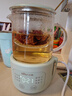 小熊（Bear）迷你養生壺養生杯 電燉杯電熱杯煮花茶壺燒水壺辦公室杯子0.4L全玻璃杯體YSH-F04E1 曬單實(shí)拍圖