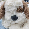 名創(chuàng  )優(yōu)品（MINISO）吉梨尼尼乖乖坐姿公仔毛絨玩具玩偶娃娃抱枕小狗娃娃生日禮物女 曬單實(shí)拍圖
