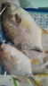 環(huán)球水產(chǎn)南海大規格金鯧魚(yú)550g1條 BAP認證 海魚(yú) 生鮮魚(yú)類(lèi) 火鍋 中秋海鮮 曬單實(shí)拍圖