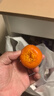 七月黃柿650g 曬單實拍圖