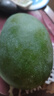 正宗凱特芒果 肉厚甜心芒熱帶當(dāng)季新鮮水果整箱 帶箱2斤單果300g+ 曬單實拍圖