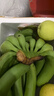 廣東高山香蕉當(dāng)季新鮮生鮮水果薄皮青蕉現(xiàn)摘現(xiàn)發(fā)水果源頭產(chǎn)地直發(fā) 【9斤裝】廣東高山甜香蕉 曬單實(shí)拍圖