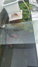 太陽能增氧泵戶外養(yǎng)魚氧氣泵魚塘專用魚缸打氧機氣泵充氧泵加氧泵 雙鋰電池太陽能增氧泵靜音 曬單實拍圖