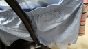 蕉內（Bananain）王一博同款305H純棉睡衣男女士100%棉情侶家居服短袖短褲套裝夏季 【短褲款條紋-女】蘇霧藍橫條紋 L 曬單實(shí)拍圖