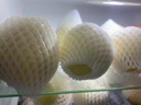 順豐蒙陰白玉奶油大白桃5斤裝新鮮水果桃子白肉蟠桃蜜桃冬桃毛桃Y 凈重5斤【產(chǎn)地直發(fā)順豐】 曬單實(shí)拍圖